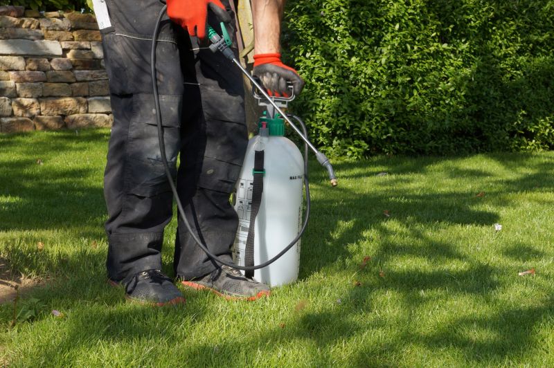 Lawn Weed Control detail