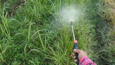 Get Herbicide Application!